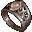 Ducal Guard's ring