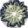 Paralyna Magic-Icon.png