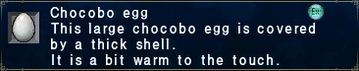 Chocobo egg (bit warm)