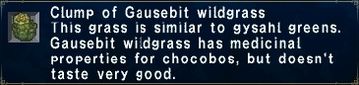 Clump of Gausebit wildgrass